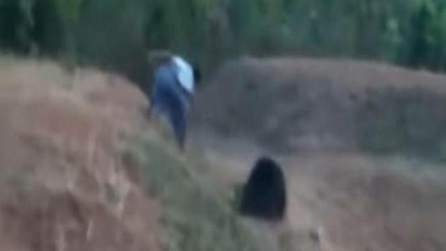 India, morto per un selfie: sbranato dall'orso 