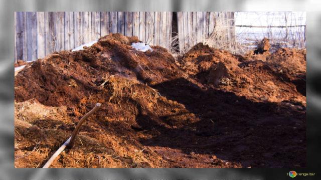 Fai da te, concimi naturali a costo zero