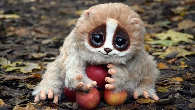 Cosas que en realidad no sabia de los animales