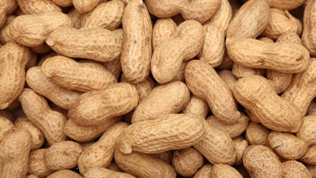 Conoce el riesgo de comer mani