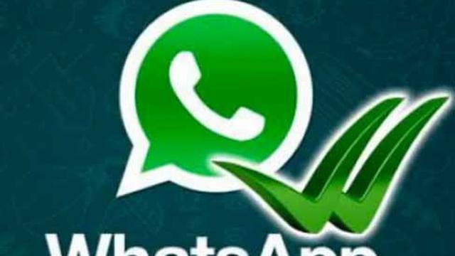 Videochiamata per le chat di gruppo? Whatsapp rilascia per i primi test