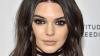 Kendall Jenner in completely sheer outfit with rumoured flame Anwar Hadid
