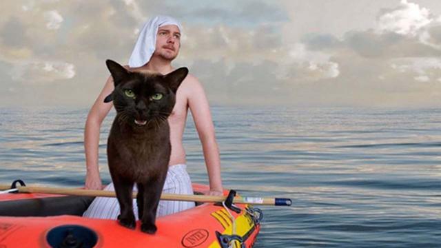 5 animal stories that can move us to laughter or tears