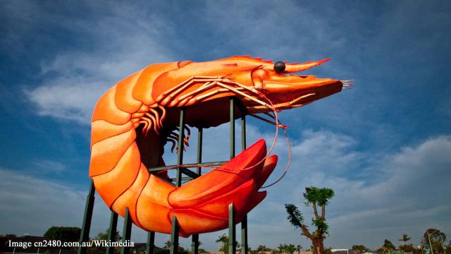 5 weird and bizarre attractions to be seen worldwide