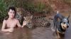 Foto que viralizou do menino tomando banho com onças é verdadeira