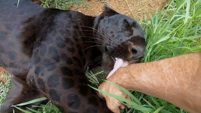 8 heartwarming examples of how men and women should shoot wildlife