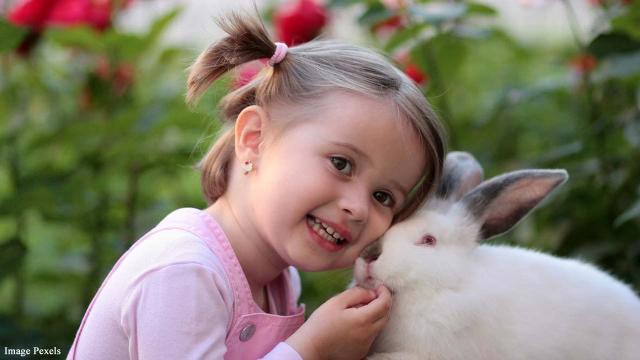 Funny, cute and out-of-the-ordinary animal photos