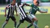 Desfalcados, Botafogo e Palmeiras se enfrentam em Brasília