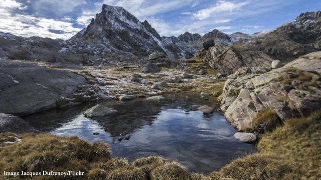 The fascinating rock carvings in the Valley of Wonders in southern France
