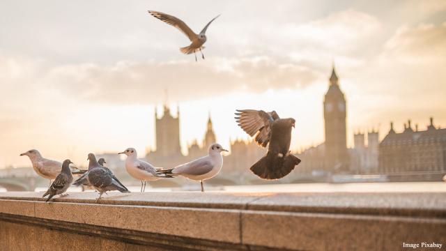 5 worthwhile things to do this summer