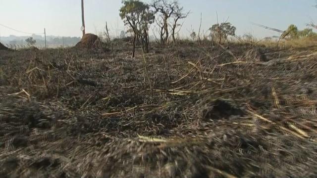 Queimadas têm aumentado em todo estado de Rondônia