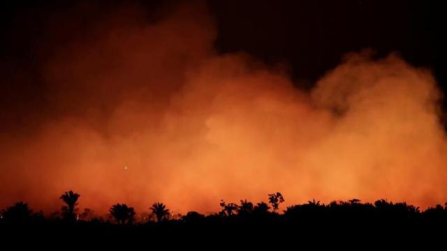 Amazzonia devastata dalle fiamme, cresce la preoccupazione in tutto il mondo