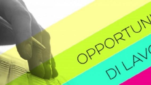 Lavoro: SDN, Novartis e Roche cercano personale