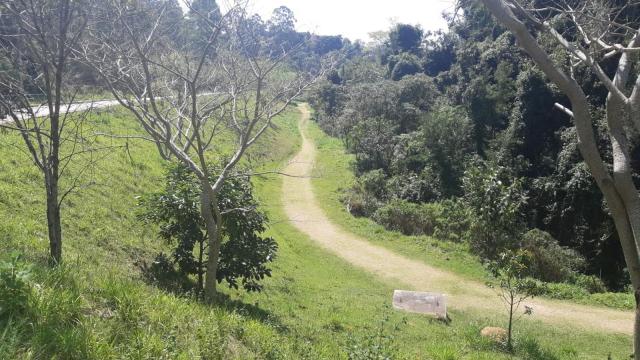 Aline tentou lutar com assassino, diz polícia