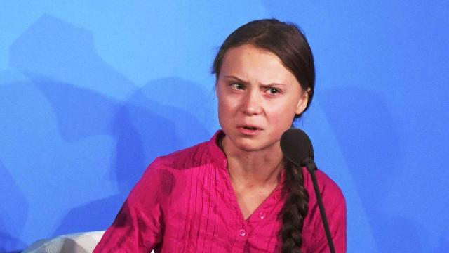 Greta Thunberg divide la comunità scientifica, in 500 scrivono all'Onu per contestarla