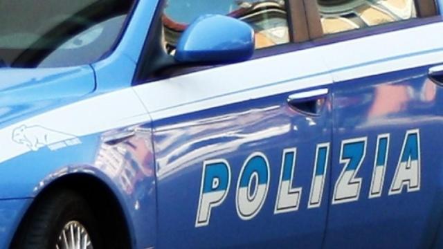 Calabria, uomo di  65 anni cade da un albero e perde la vita