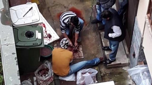 Macelleria abusiva in cortile a Milano: sezionano animale tra i rifiuti