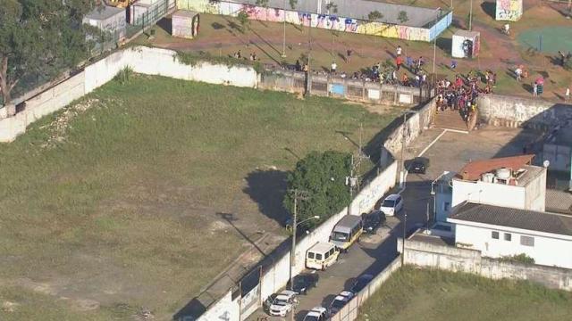 Criança morre após ser atacada por cães em SP