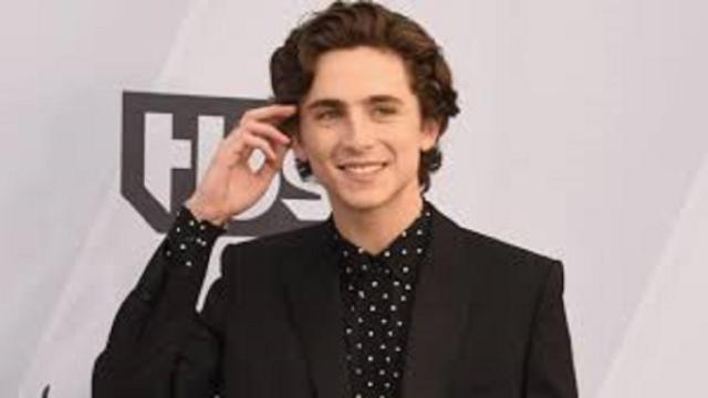 Timothée Chalamet devrait jouer le rôle de Bob Dylan 