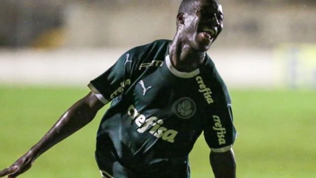 Dois jogadores podem desfalcar o Palmeiras na partida contra o Guarani