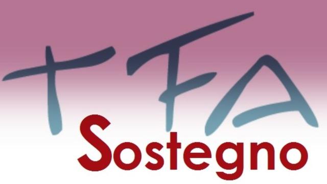 Il ministro dell'istruzione ha sbloccato il bando del TFA sostegno