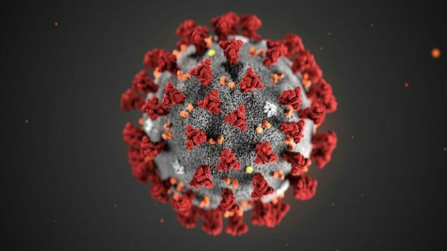 Coronavirus, il primario del Pronto Soccorso di Codogno e Lodi: 