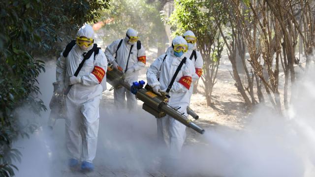 Coronavirus, l'OMS realizza un report sul contrasto del Covid-19