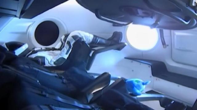 Dragon capsule heads to International Space Station