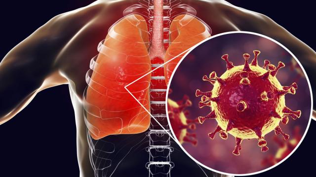 Coronavirus, lanciata una raccolta fondi e calendario di concerti da casa #iosuonodacasa