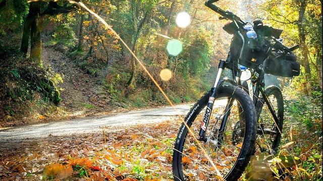 Coronavirus: Il Ministro della Salute vieta l'uso della bicicletta per hobby