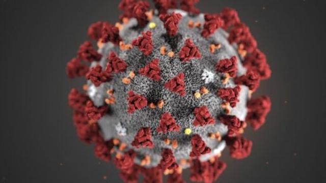 I numerosi morti in Lombardia potrebbero dipendere da una mutazione del virus