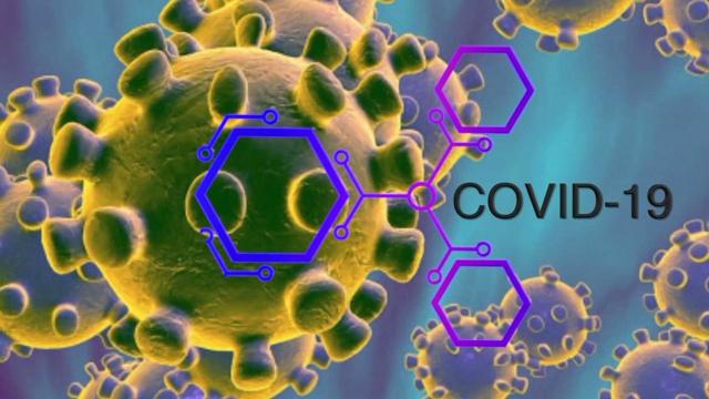 Covid-19: una ricerca stabilisce che potrebbe essere originato dai pipistrelli