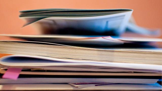 Bonus energia 2020: l'incentivo è previsto per chi ha un disagio economico o fisico