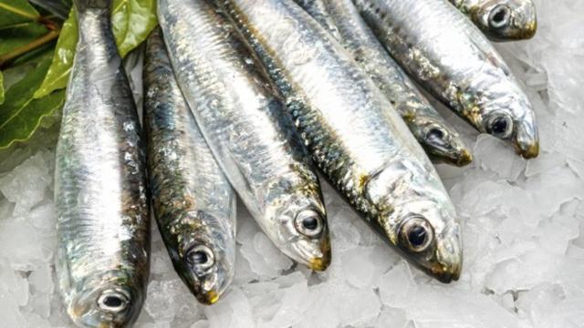 5 alimentos que são ricos em vitamina D