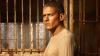 5 grandes atores de 'Prison Break' nos dias atuais