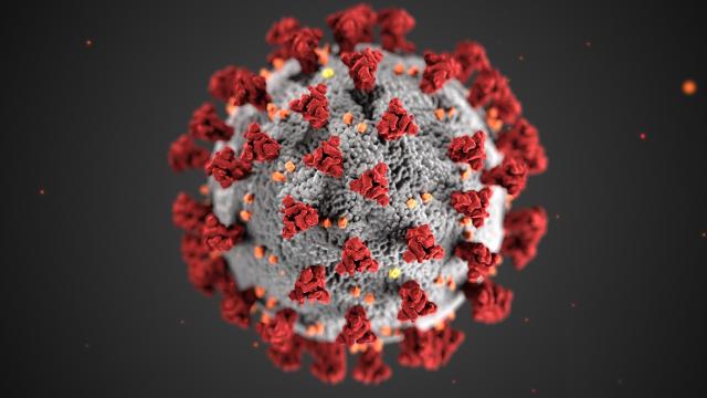Coronavirus, Dott. Maurizio Borghetti: 'Vediamo la luce in fondo al tunnel'