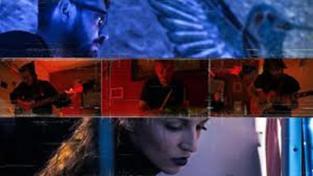 L'artiste Taisiia Cherkasova touchée par 'les extinctions d’espèces'