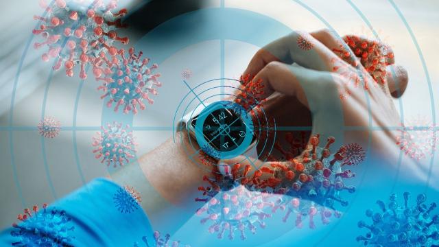 Covid, App Immuni: avviata la sperimentazione, l'applicazione non si avvarrà del GPS