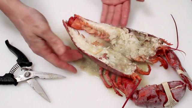 Ricetta con l'astice: buonissimo con funghi, scalogno e salsa di pomodoro