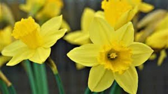 Le parrain passe à son tour le flambeau