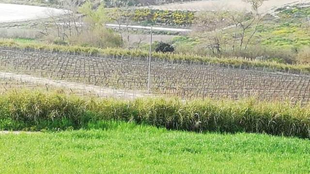 Chiaramonte Gulfi: picchiato l'imprenditore Pierluigi Cosenza 