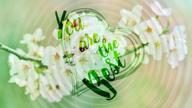 'Auguri mamma', frasi da dedicare alle proprie madri per celebrarle