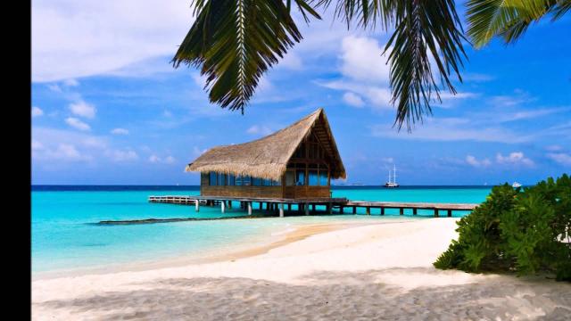 Le trikini sera la tendance mode de cet été à cause de la pandémie 