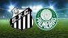 Santos e Palmeiras fecham a quinta rodada do Brasileirão Feminino