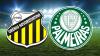 Palmeiras inicia luta pelo tri paulista contra o Novorizontino