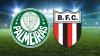 Botafogo-SP se despede do Paulistão jogando contra o Palmeiras, na Arena Barueri 