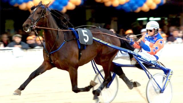 Addio a Varenne, la leggenda del trotto si è spenta a 31 anni